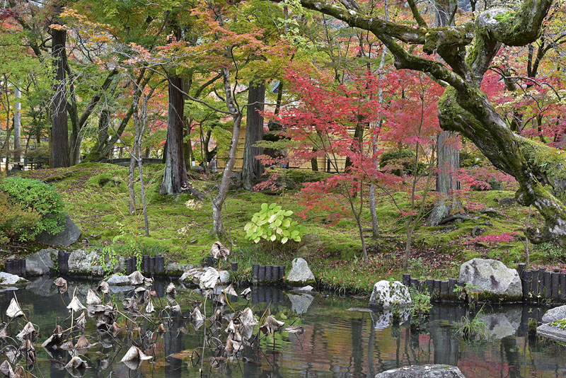 b0042837_202143.jpg