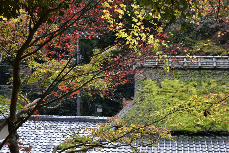 b0042837_2033042.jpg