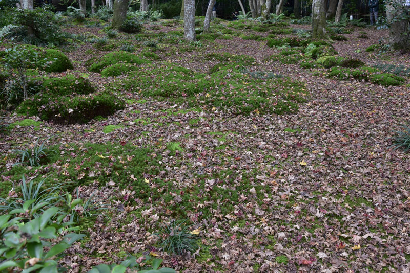 b0042837_20352090.jpg