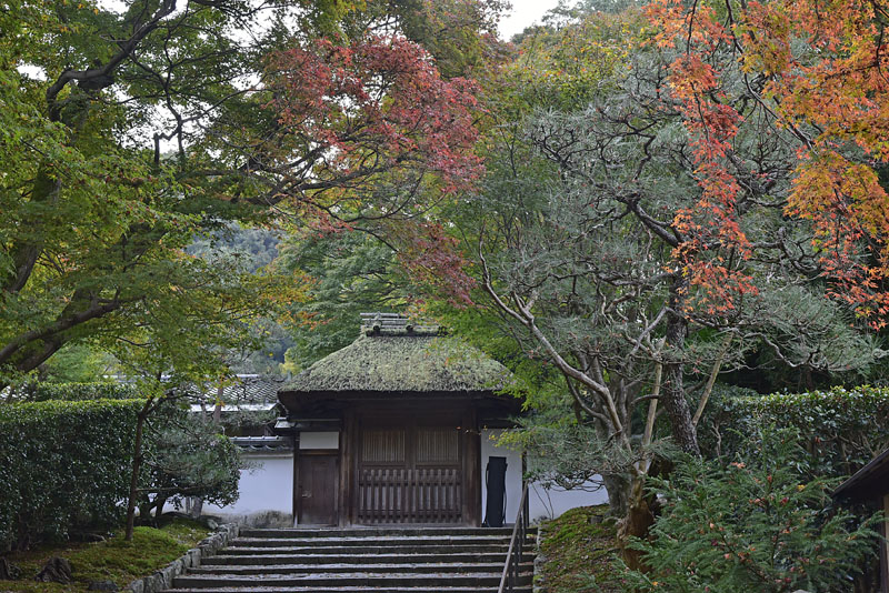 b0042837_2051762.jpg