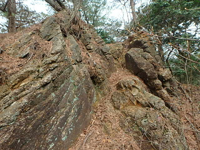 f0334143_20195411.jpg