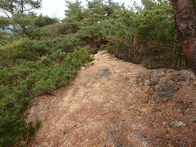 f0334143_20201028.jpg
