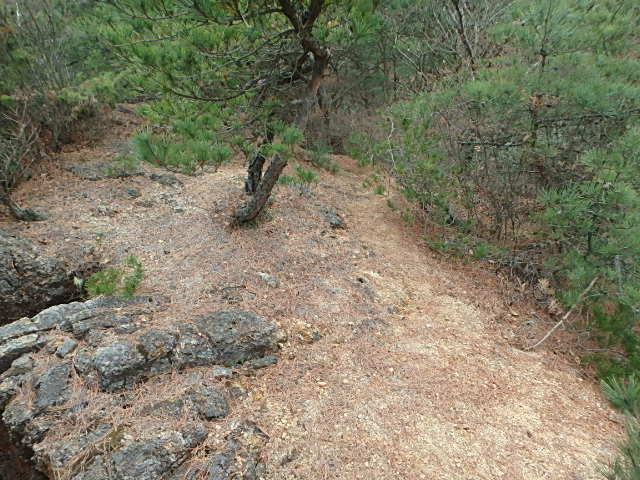 f0334143_20201874.jpg