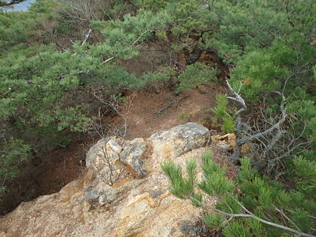 f0334143_20202316.jpg
