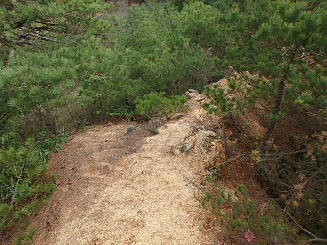 f0334143_20202916.jpg
