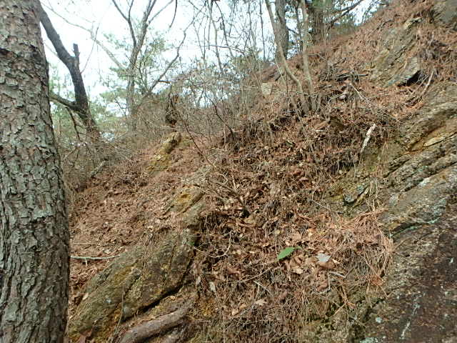 f0334143_2020368.jpg