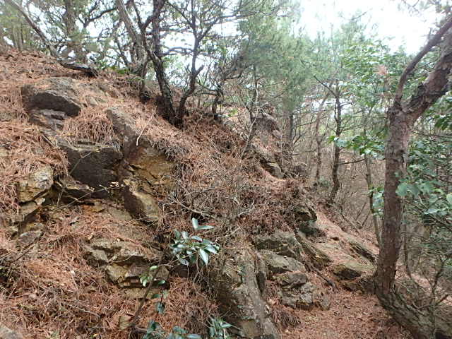 f0334143_20204255.jpg
