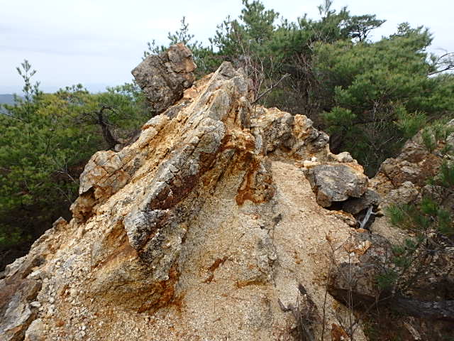 f0334143_20211328.jpg