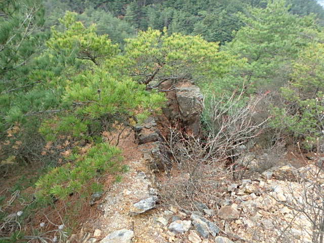 f0334143_20213316.jpg