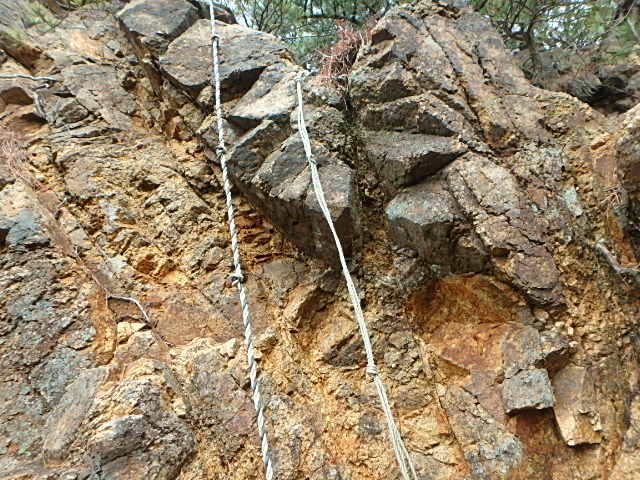 f0334143_20222771.jpg