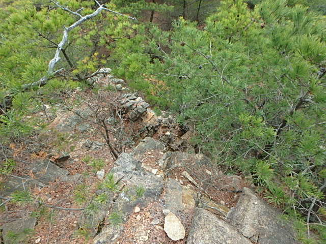 f0334143_20232398.jpg