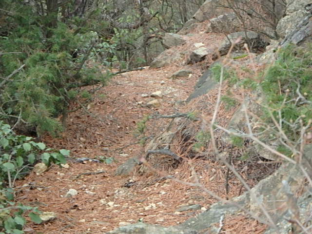 f0334143_20233652.jpg