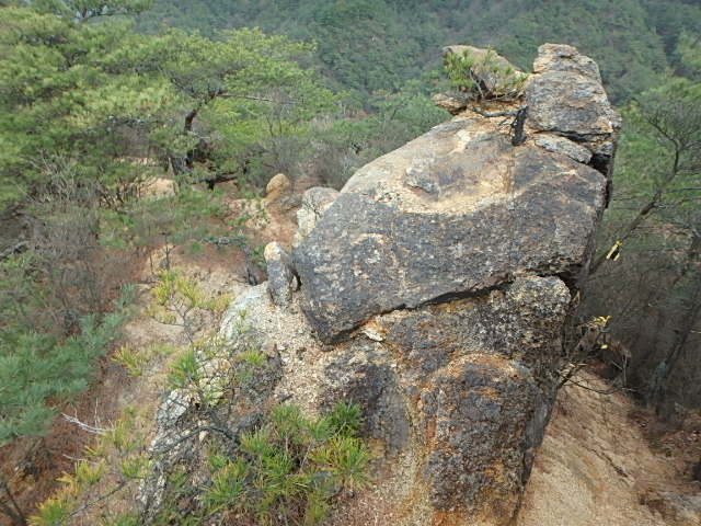 f0334143_20234469.jpg
