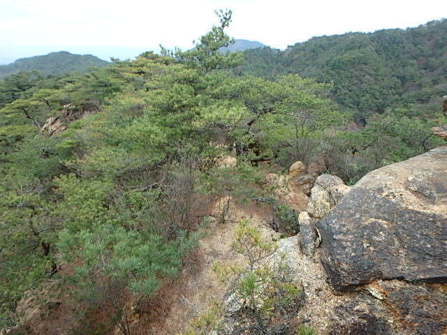 f0334143_20235510.jpg