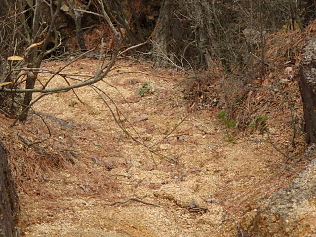 f0334143_2024930.jpg