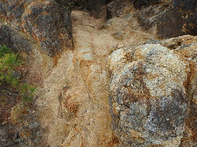 f0334143_20265052.jpg