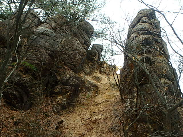 f0334143_2028914.jpg