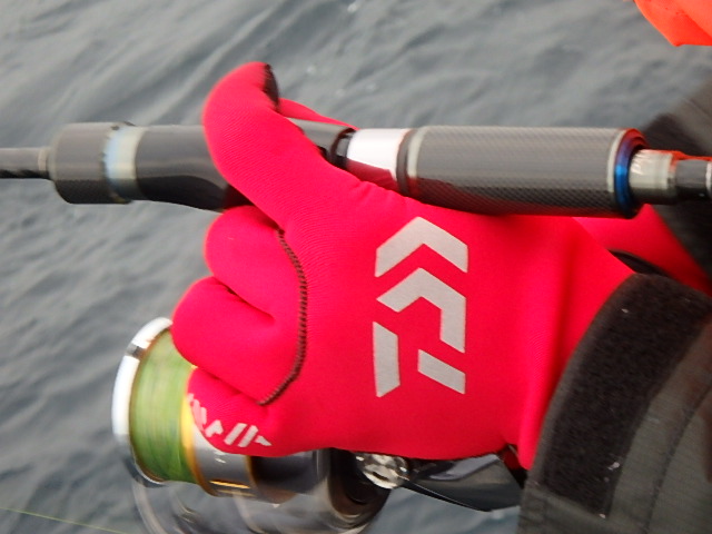 a0248152_18193311.jpg