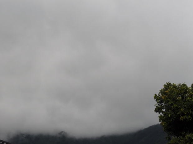 c0354352_23074467.jpg