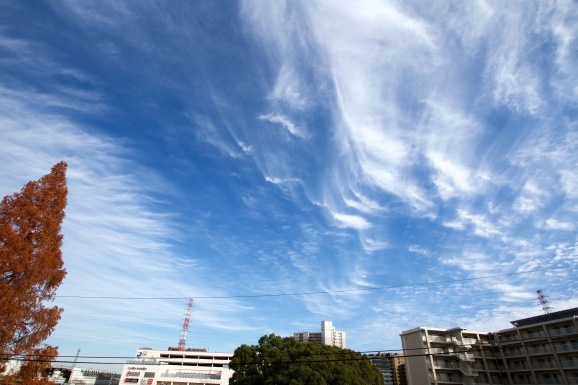 a0226258_17242693.jpg