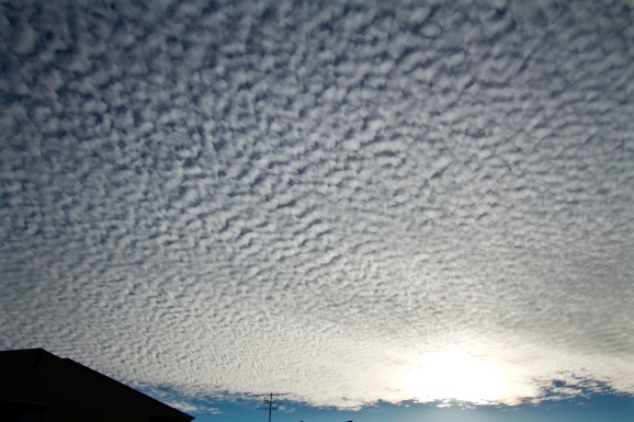 a0226258_18010944.jpg