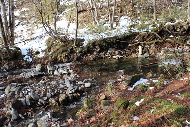 e0239458_19305301.jpg