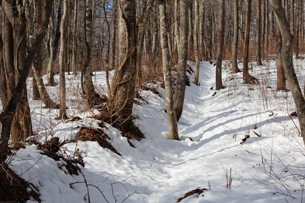 e0239458_19382881.jpg