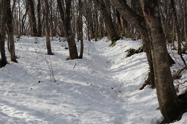 e0239458_19390473.jpg