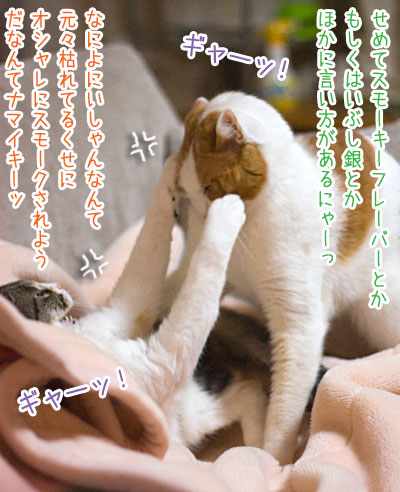 a0119470_1213464.jpg