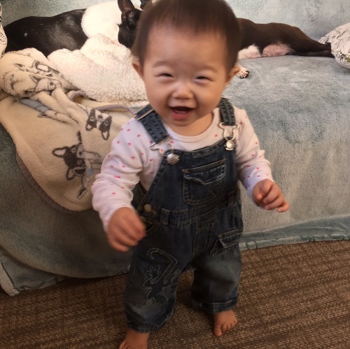 d0041575_22435176.jpeg