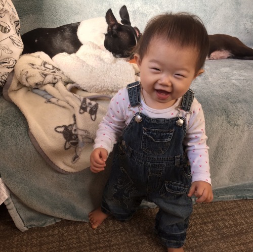 d0041575_22463046.jpeg