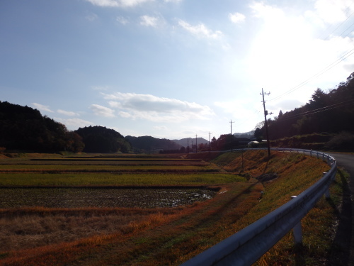 b0334084_16515490.jpg
