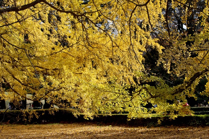 a0127090_1495019.jpg