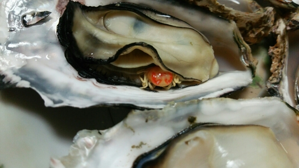 c0109891_11430754.jpg