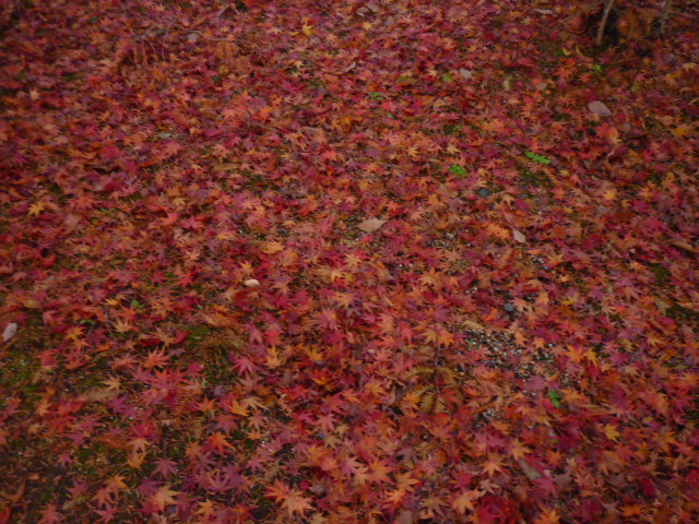 e0326699_0205734.jpg