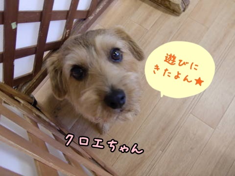 a0338800_14305600.jpg