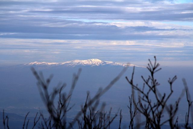 e0137200_22322044.jpg