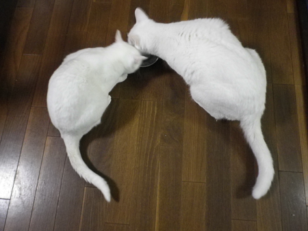 f0239100_2311040.jpg