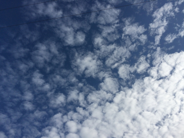 e0086522_17042500.jpg