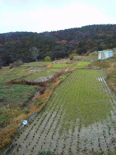 f0036223_22225938.jpg