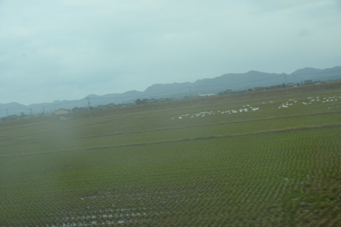 e0335926_00034730.jpg