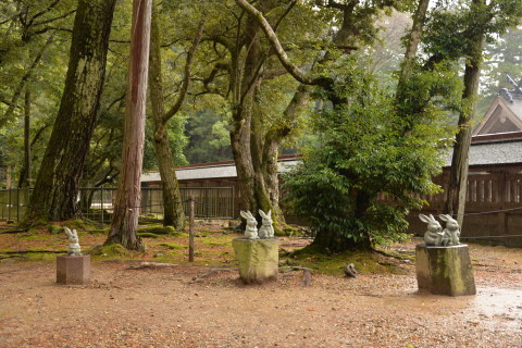 e0335926_00260128.jpg