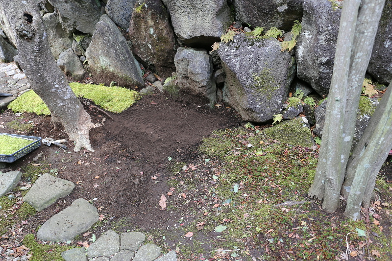 f0103126_21255455.jpg