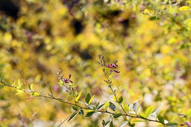 a0242438_21575124.jpg