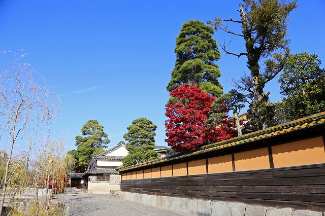 a0242438_2201435.jpg