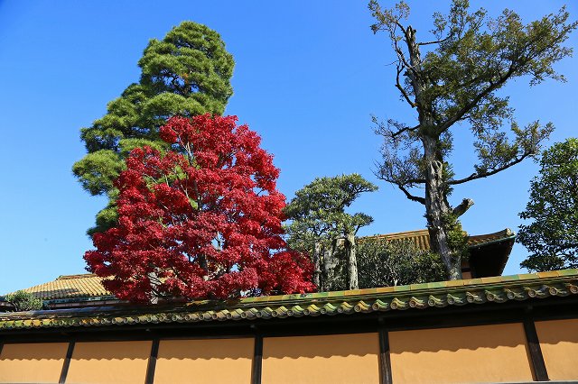 a0242438_2201987.jpg