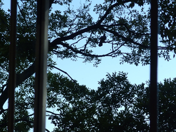 a0014840_22381640.jpg