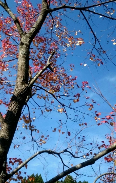 c0281841_12142312.jpg