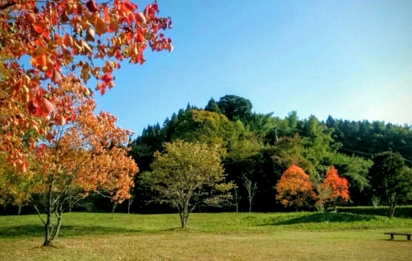 c0281841_12142967.jpg