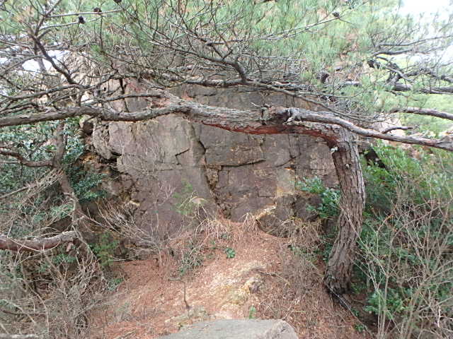 f0334143_1312163.jpg